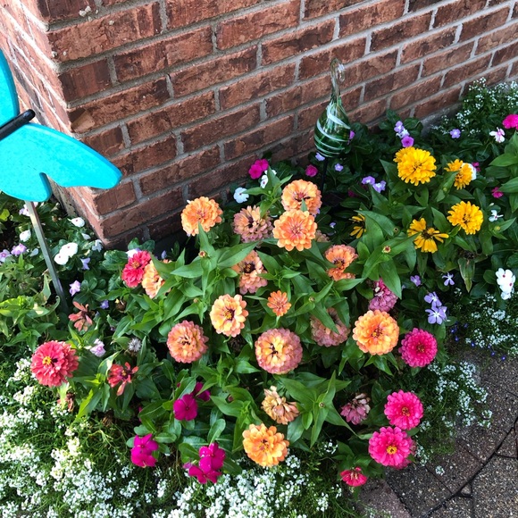 Meet your Posher, Susanne - Picture 10 of 10